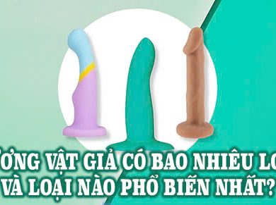 Dương vật giả có bao nhiêu loại và loại nào phổ biến nhất?
