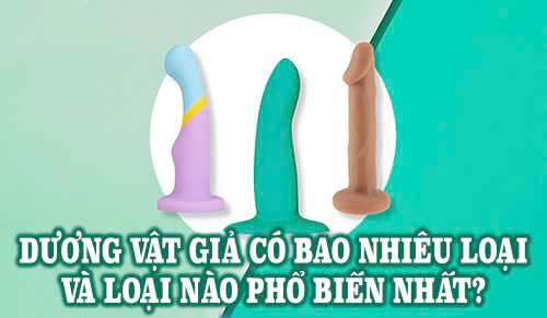 Dương vật giả có bao nhiêu loại và loại nào phổ biến nhất?